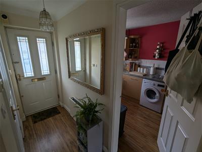 Picture 6